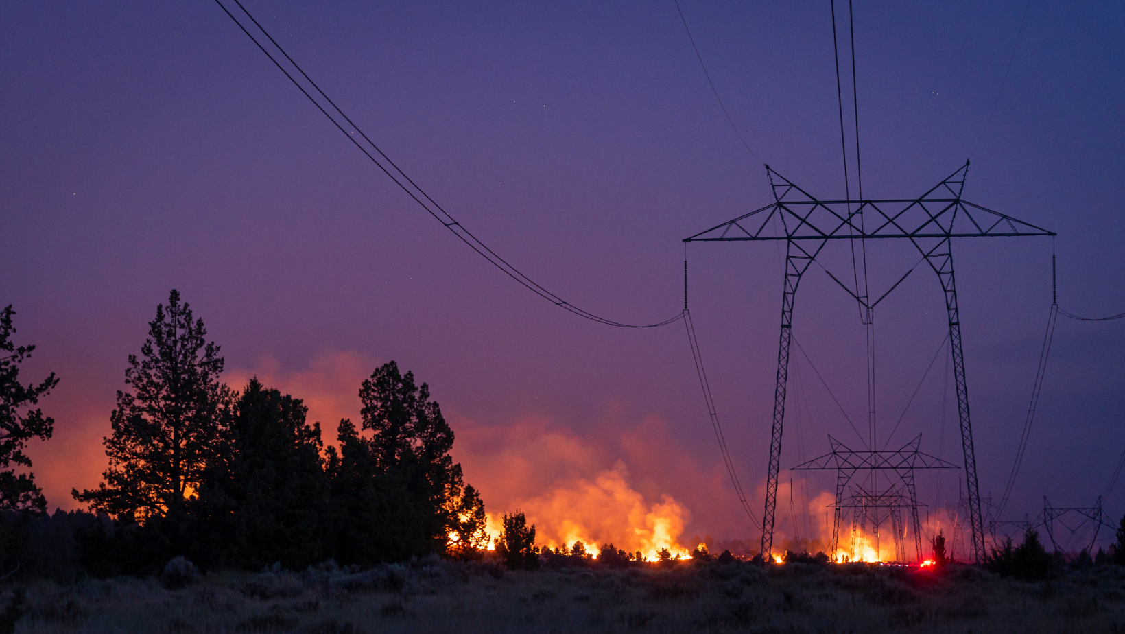 Using Machine Learning to Identify Wildfire Risks in Electrical Pole Imagery